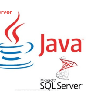 How to use a MySQL database in Java